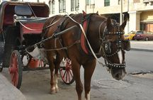 Aswan City Tour by Horse Carriage