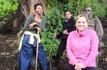 1 Day Rwanda Gorilla Trekking Tour In The Volcanoes National Park