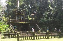 Award winning Paronella Park Day and Night Tour