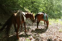 Horseback Riding in Azerbaijan