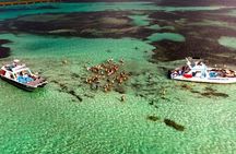 Half Day Tour in Punta Cana to Indigenous Eyes and Catamaran Ride