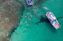 Half Day Tour in Punta Cana to Indigenous Eyes and Catamaran Ride