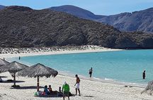 Private Tour to Playa Balandra, La Paz and Todos Santos