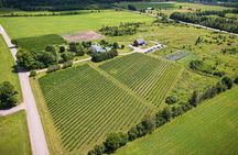 Full Day Pontiac Wine & Cider Tour - Day Trip From Ottawa & Gatineau