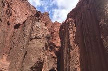 Excursion to Rainbow Valley and Petroglyphs, Yerbas Buenas