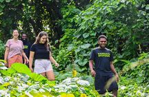 Discovery Bush Walk from Port Vila