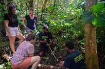 Discovery Bush Walk from Port Vila