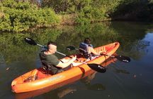 Tamarindo river guided kayak mangrove & environment watching tour in Guanacaste