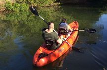 Tamarindo river guided kayak mangrove & environment watching tour in Guanacaste
