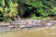 Multi-day all inclusive at Tortuguero with a tour at National Park from San Jose