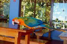 Multi-day all inclusive at Tortuguero with a tour at National Park from San Jose