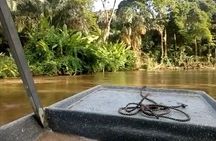 Tortuguero National Park Day Trip from San Jose