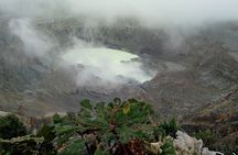 Poas Volcano waterfalls and coffee tour from from San Jose