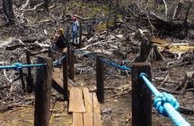 Volcano Mombacho Adventure in the Cloud Forest & Apoyo Lake 