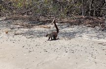 Boat tour to the exotic caves with snorkel from Playas del Coco