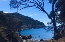  Private Bruny Island Discovery Tour