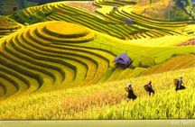  2 Days 1 Night Stay Sapa Trekking Tours 
