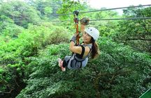 One day combo tour zipline, horseback riding, host springs family packages