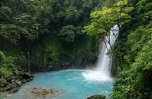 Blue River Waterfall and Rainforest Full Day Tour