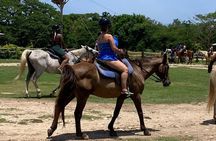 Horseback Ride, Zipline and ATV Adventure from Montego Bay