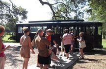 Wine Sippin'-Tea Drinkin'-Tree Huggin' Lowcountry Sightseeing