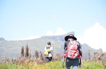 4 Days mount Elgon Trek, 4321m a.s.l
