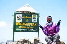 4 Days mount Elgon Trek, 4321m a.s.l