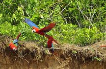 4-Day Private Tour to Manu National Park from Cusco