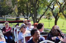 Johannesburg Hop-On Hop-Off City Tour with Soweto Option