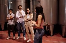 Guided Visit and Wine Tasting at the Winery in Veneto