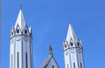 Santa Rosa de Cabal and Hot Springs Day Trip