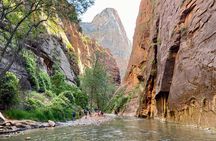 The Narrows: Zion National Park Private Guided Hike