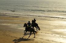 Horse Ride in Taghazout or Agadir