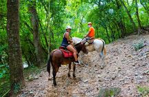 Puerto Vallarta Canopy Tour: Zip-lines and mule ride at the Sierra