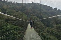 Full day to Monteverde from San Jose with Canopy and Reptil Amphibians watching