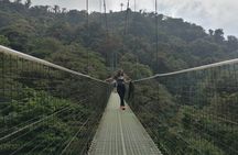 Full day to Monteverde from San Jose with Canopy and Reptil Amphibians watching