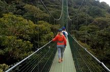 Full day hot springs at Arenal Volcano and hanging brides from San Jose