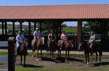 Full day with canopy horse back riding and cultural Arenal visit from San Jose