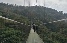 Zipline. Butterfly Garden and Hanging Bridges Tour from San Jose 