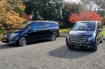 Private and Customised Great Ocean Road and 12 Apostles Tour