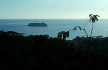 Full day Hiking Manuel Antonio and watching wild life at nature from San Jose