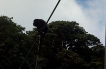 Zipline. Butterfly Garden and Hanging Bridges Tour from San Jose 
