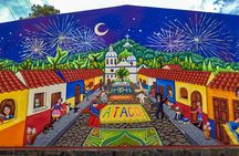 Ruta de Las Flores Adventure, Relax at Hotsprings + 1930's farm Coffee Tour