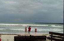 Half-Day Wildlife Hiking Tour of Cahuita National Park
