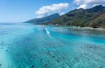 Snorkeling excursion and encounter with marine fauna in Moorea