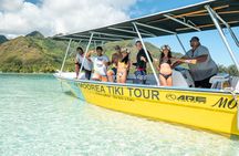 Snorkeling excursion and encounter with marine fauna in Moorea