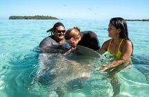 Snorkeling excursion and encounter with marine fauna in Moorea