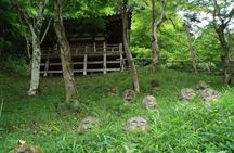 Private Walking Tour in Bamboo Forest & Hidden Spots in Arashiyama