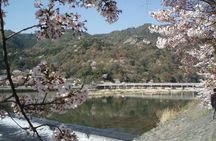 Private Walking Tour in Bamboo Forest & Hidden Spots in Arashiyama