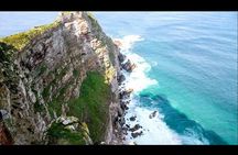 Best of the Cape Full Day Private Tour